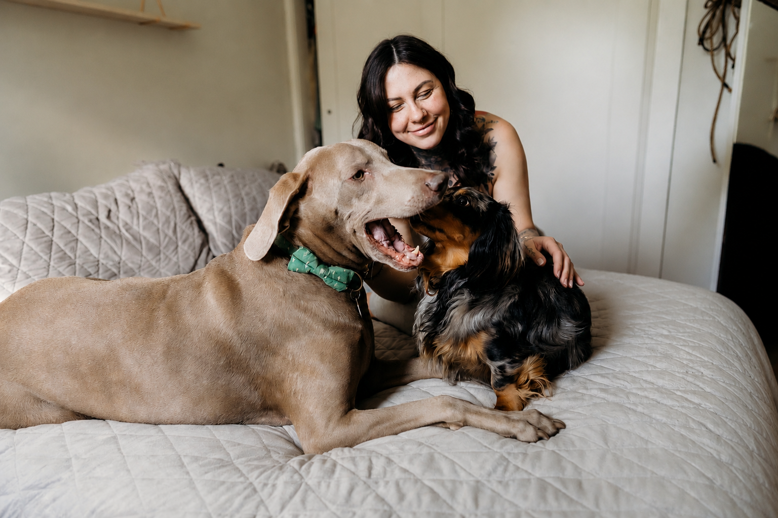 Tish smiling on a bed with her Weimaraner and long-haired dachshund